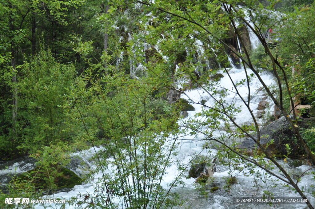 山间溪流穿林而过
