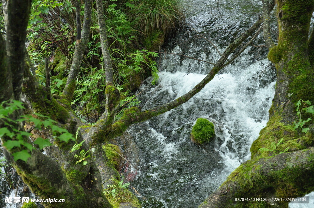 山间溪流 绿意盎然的景致