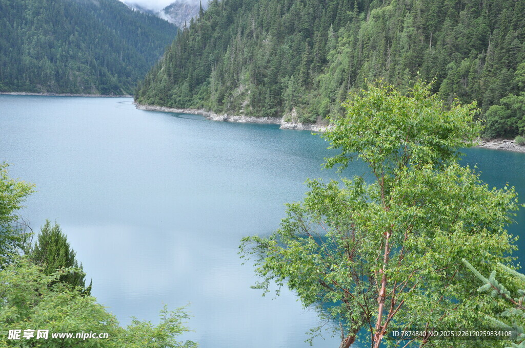 山间幽蓝湖泊与葱郁林木