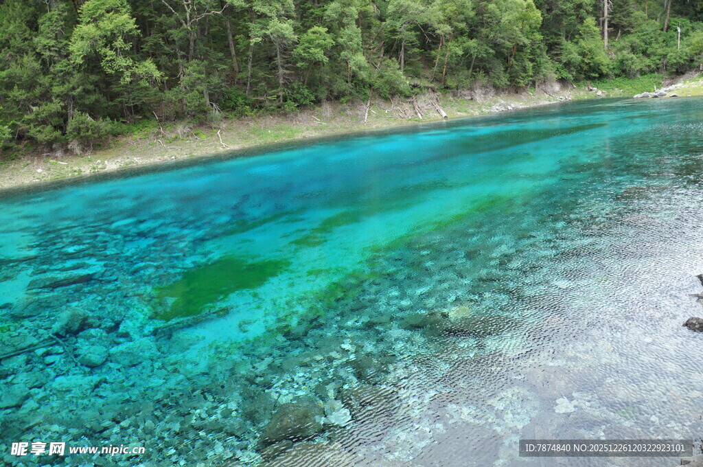清澈蓝绿色的美丽溪流