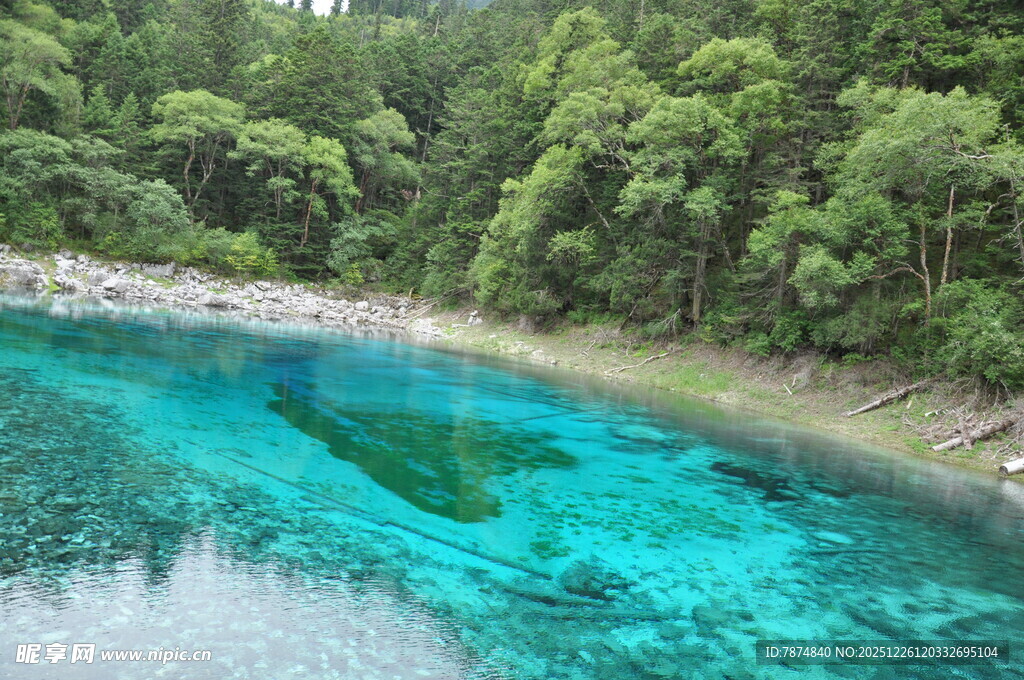 翠绿山林间的澄澈蓝湖