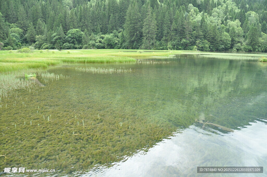 宁静山林中的清澈湖水