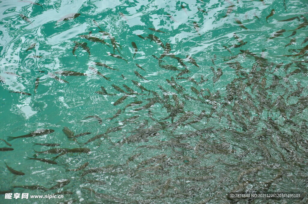 绿色纹理墙面细节特写