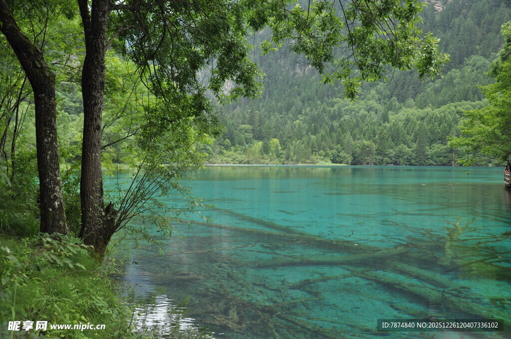 翠绿山林间的澄澈蓝湖