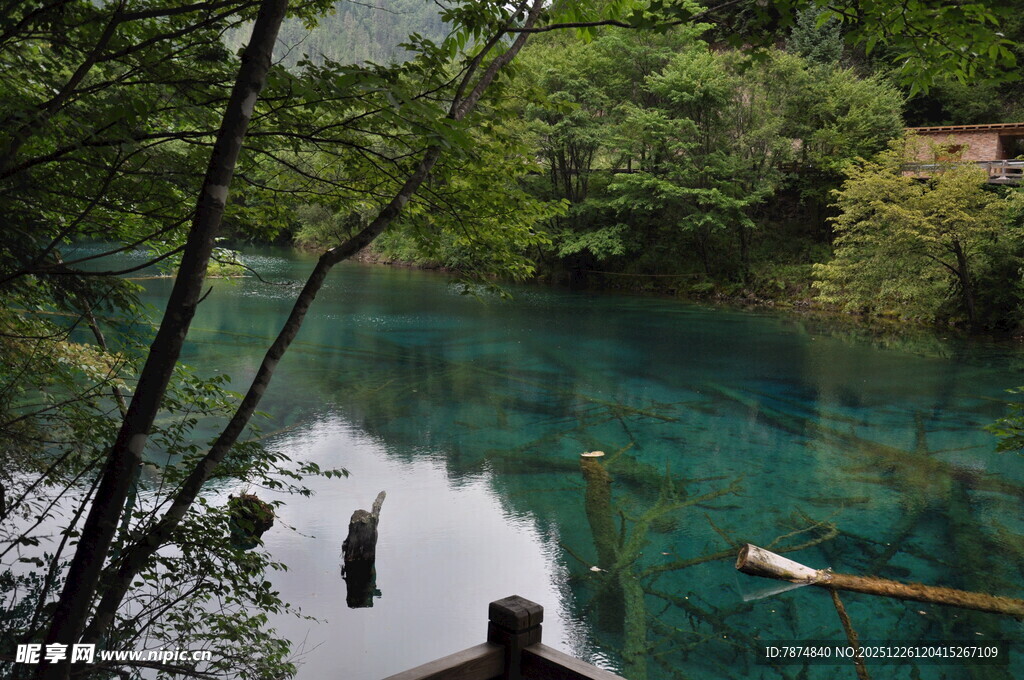 清幽碧潭边的宁静景致