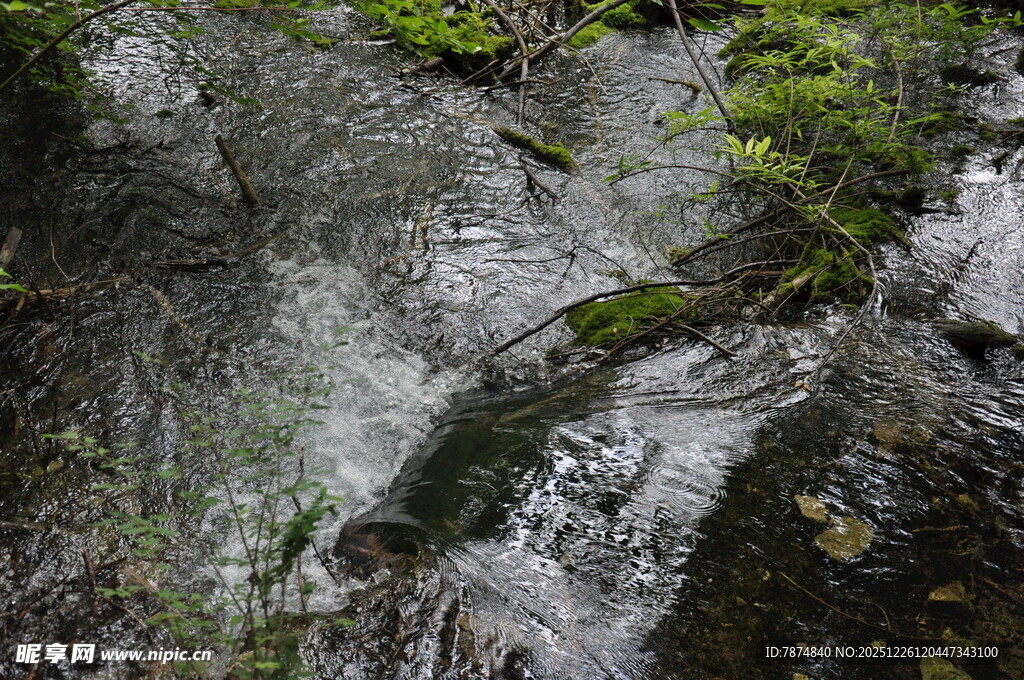 山间潺潺溪流岩石覆青苔