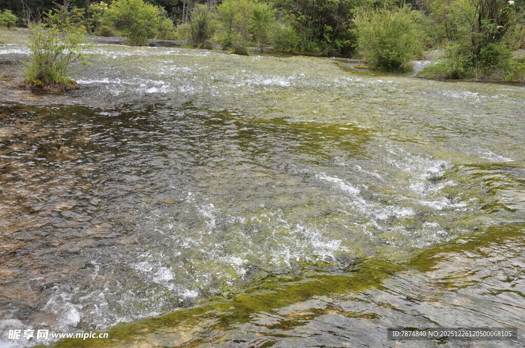 清澈溪流中的潺潺流水