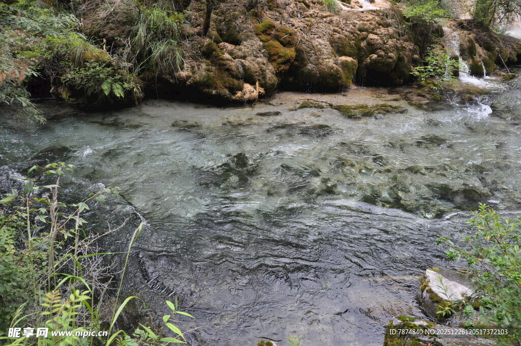 山间清澈溪流及周边景致