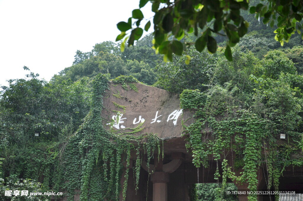 藤蔓覆盖的古朴建筑