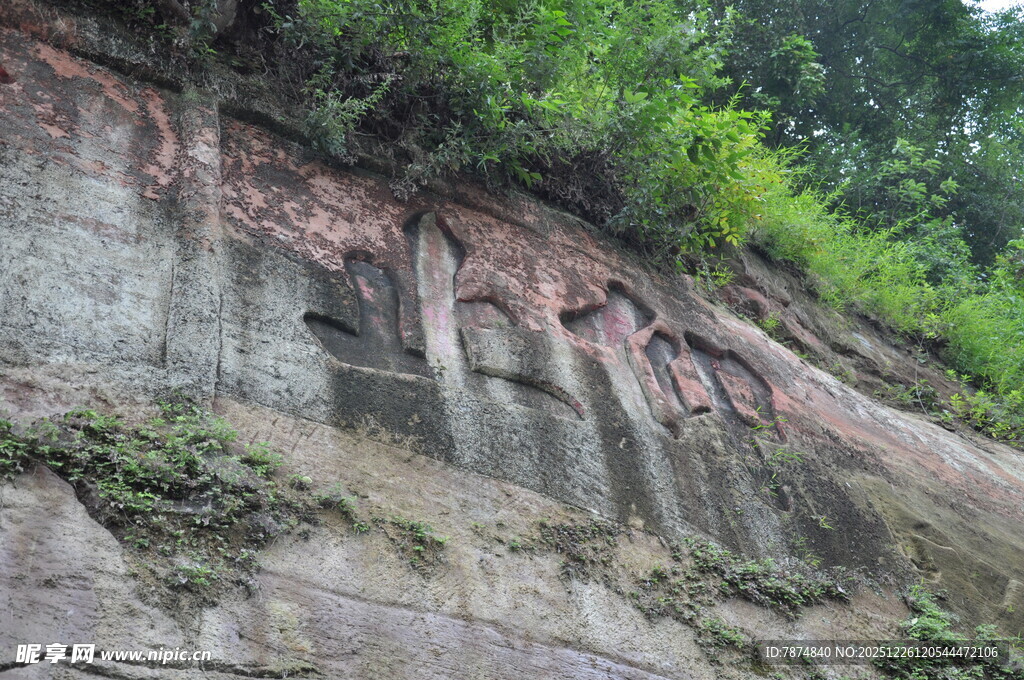 陡峭岩壁上的繁茂绿植