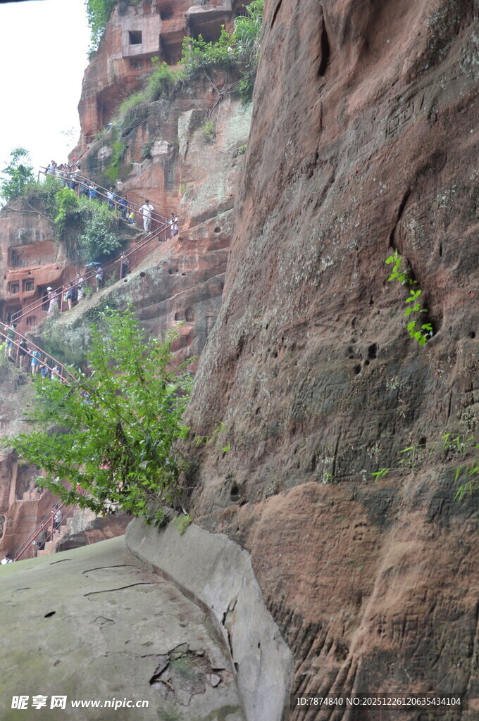 悬崖边的绿植与建筑景观