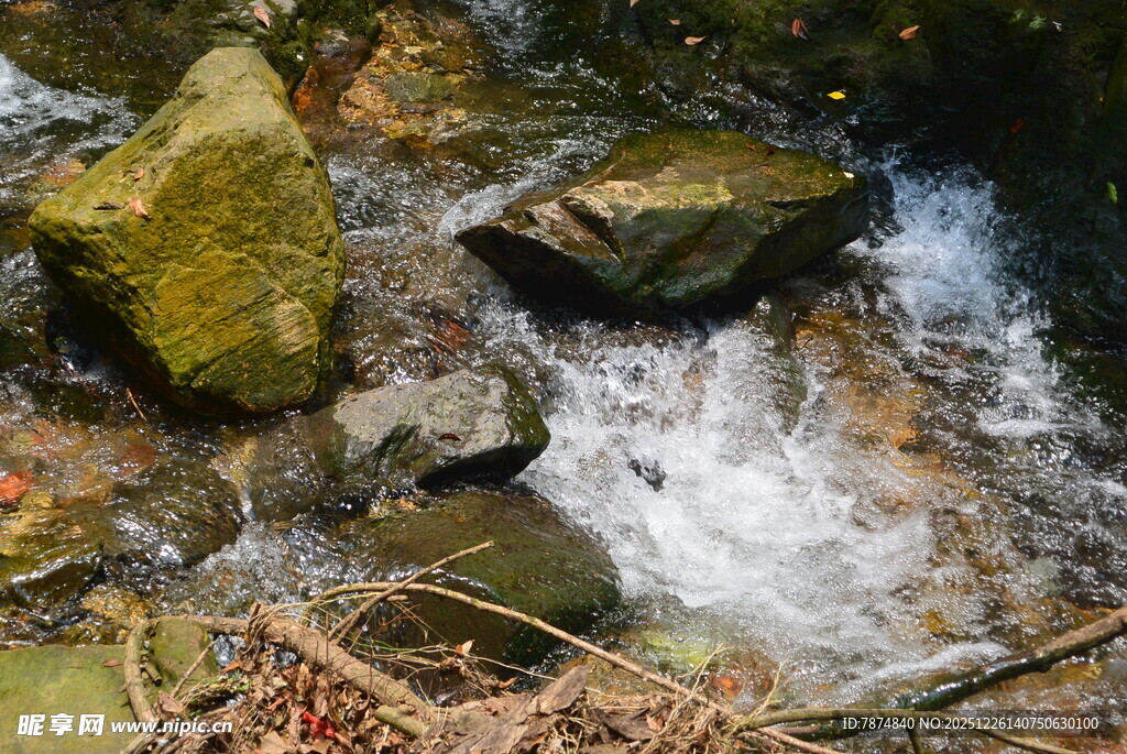 山间溪流与覆青苔石块