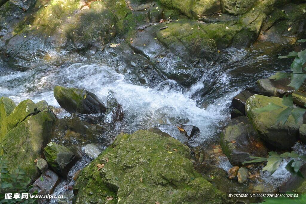 山间溪流潺潺 青苔覆石