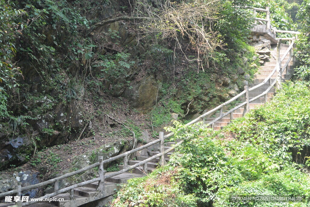 山间木质步道穿行于绿意中