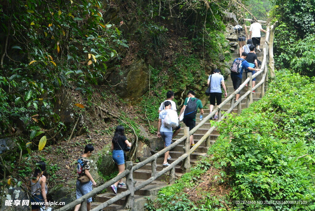 游客攀登山间木质阶梯