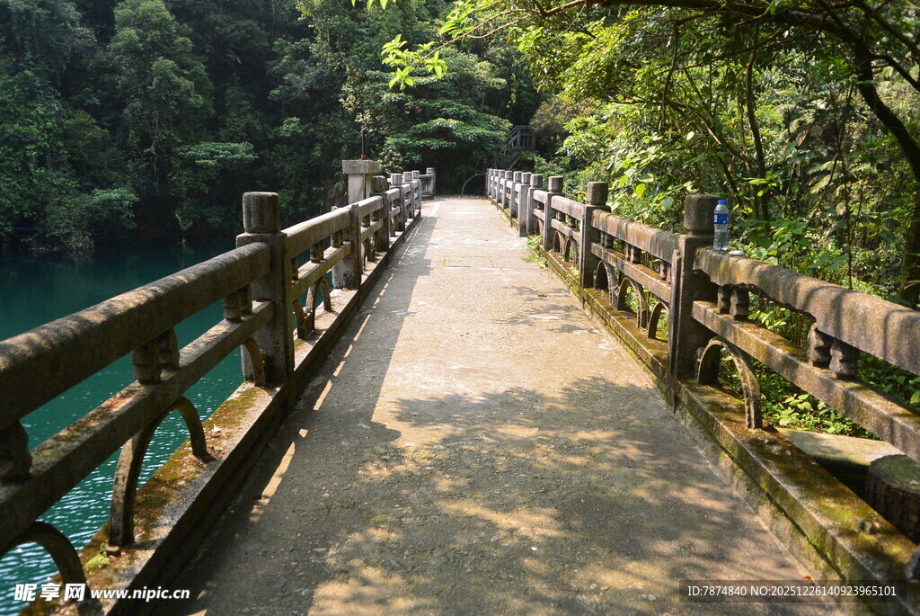 林间木栈道 邂逅自然之美