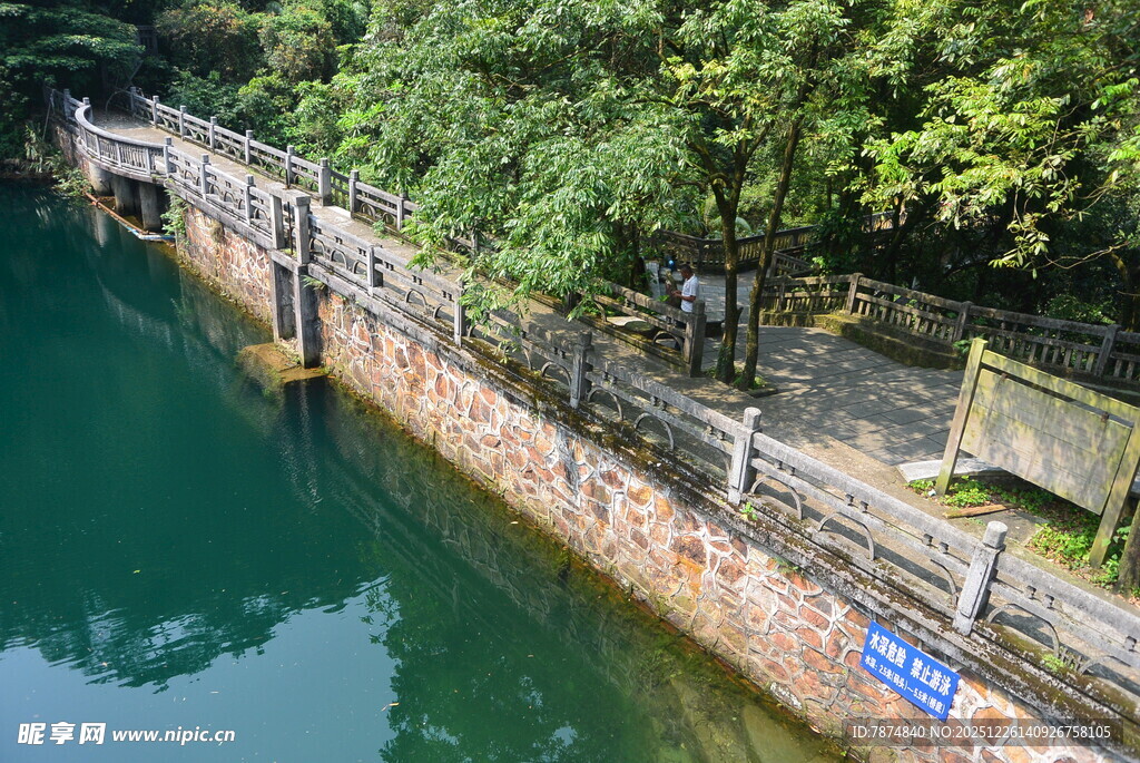 河畔木质栈道与葱郁绿树