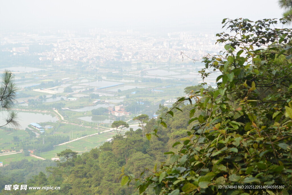 山巅远眺城市绿茵景观