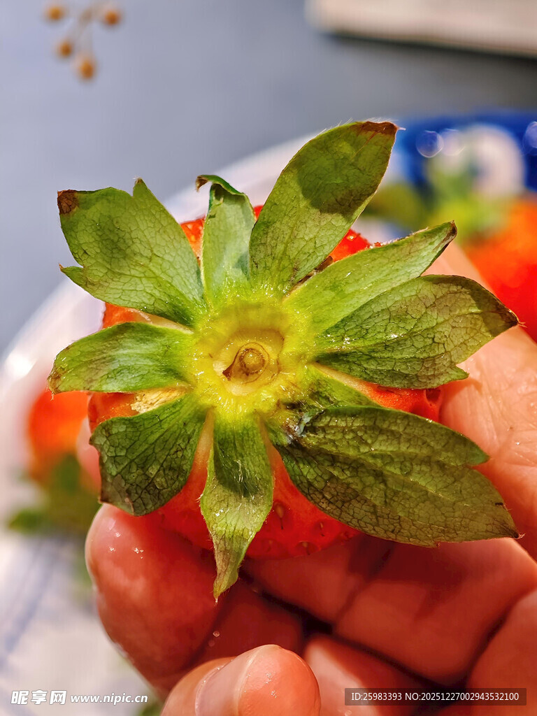 草莓