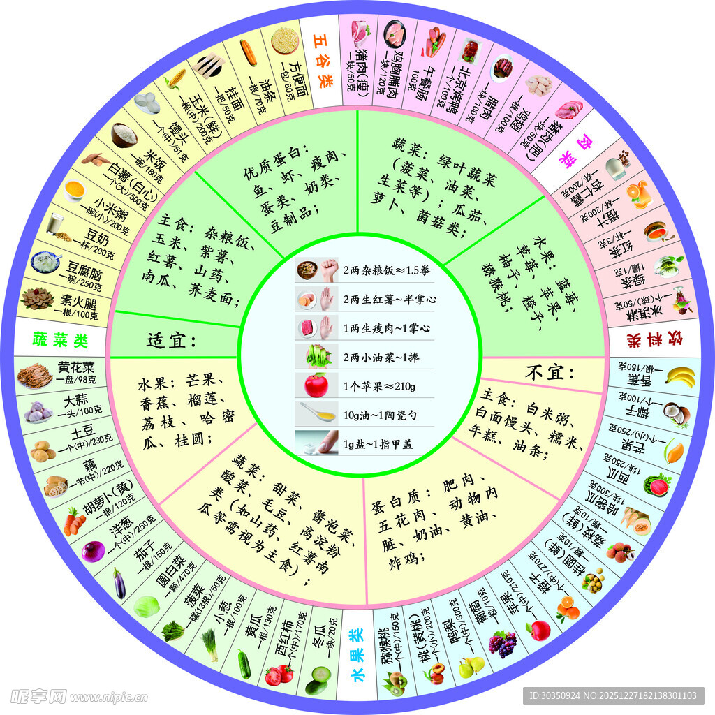 膳食能量圆形图