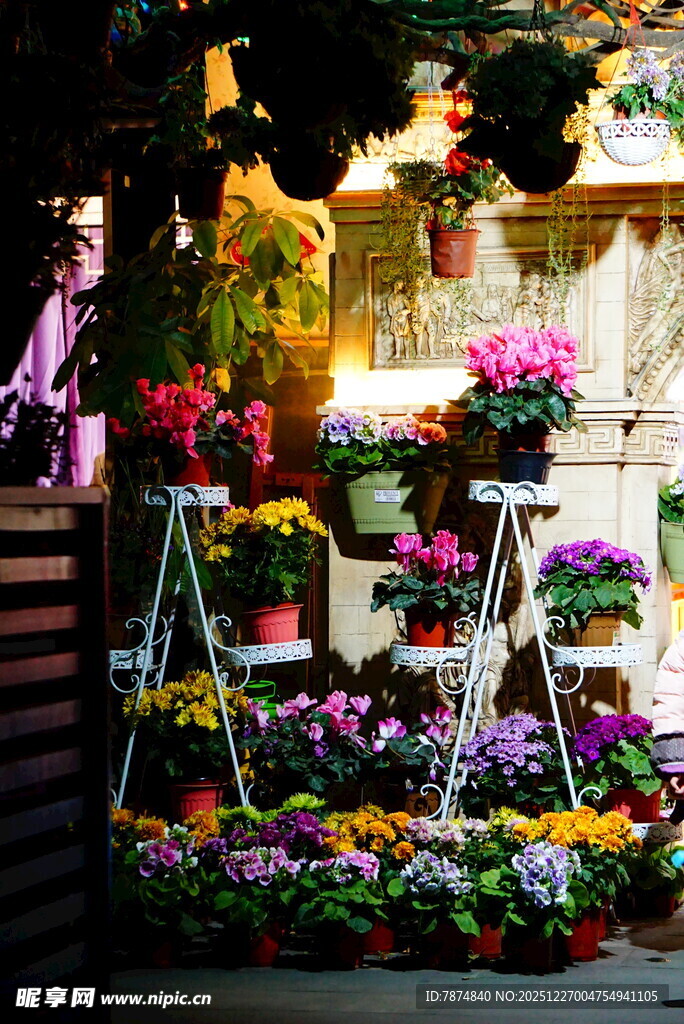 街头多彩花卉摊