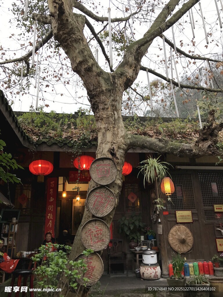 古树下的中式风情小店