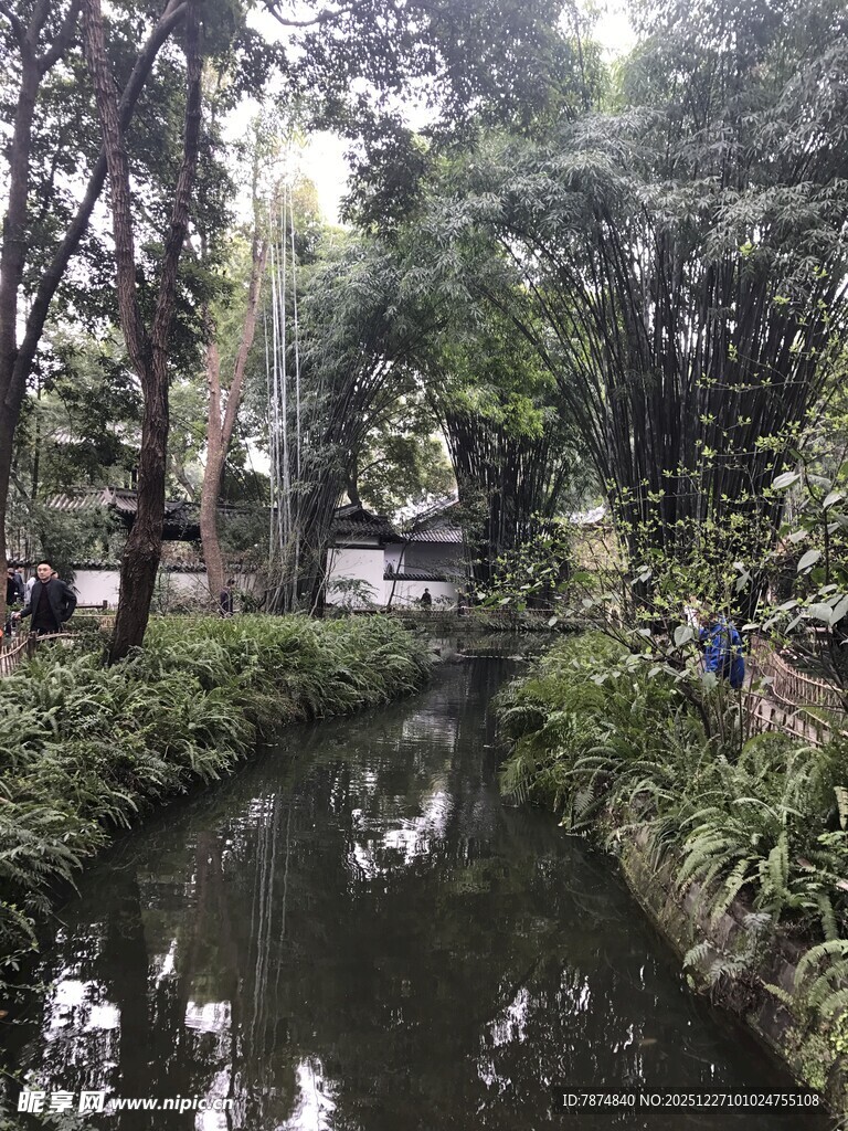 城市中静谧的溪边绿植景观
