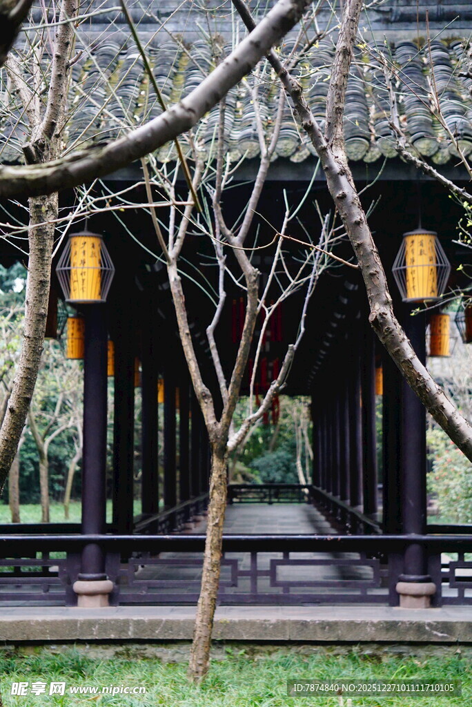 中式古亭 静谧园林景致