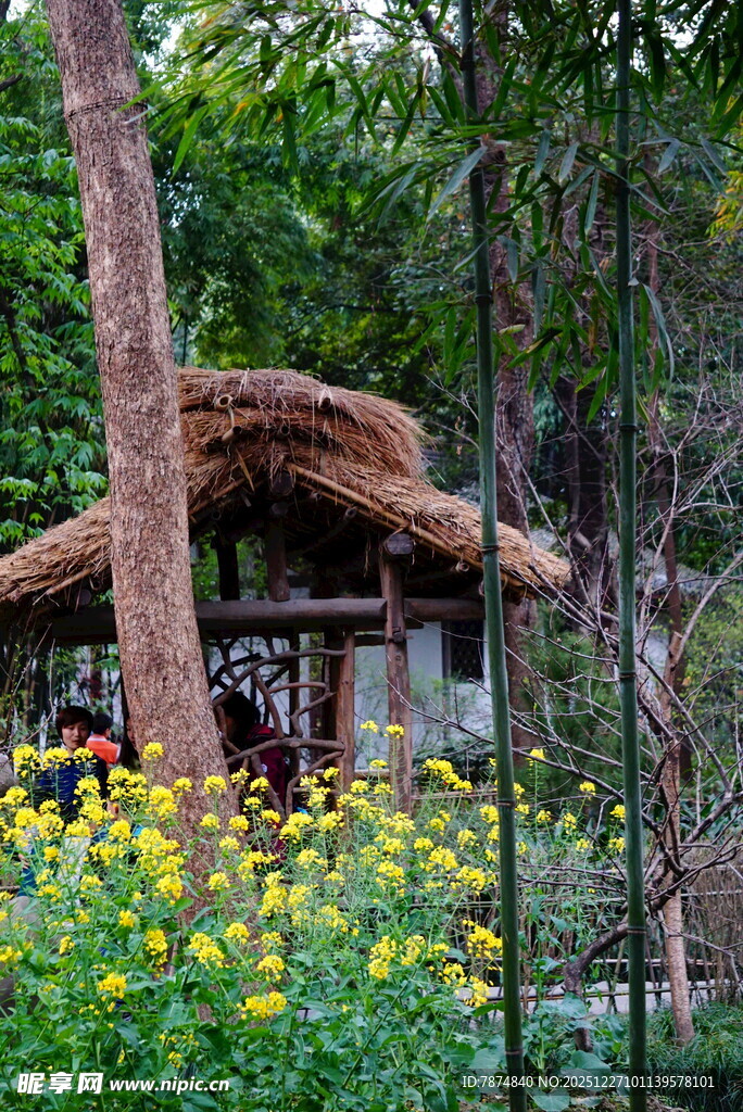 田园小屋旁的灿烂花海