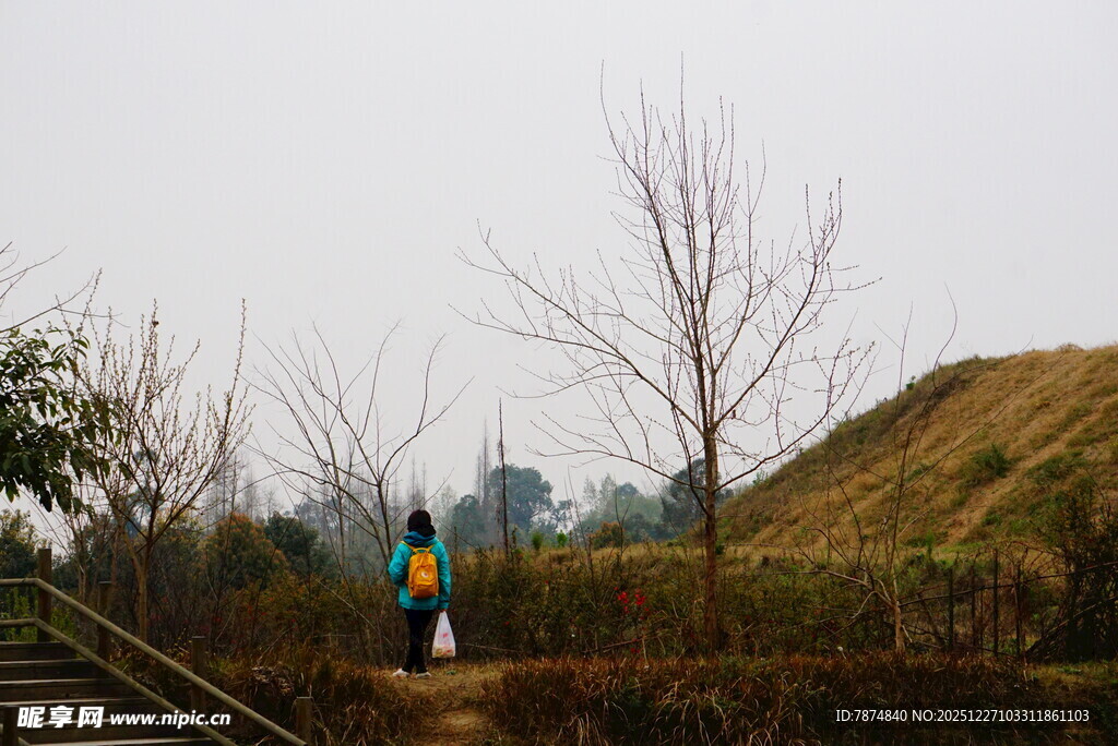 户外徒步者穿行于草木间