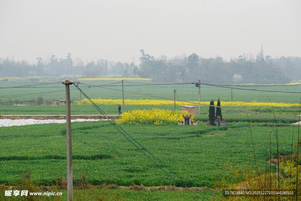 田野中的劳作景致