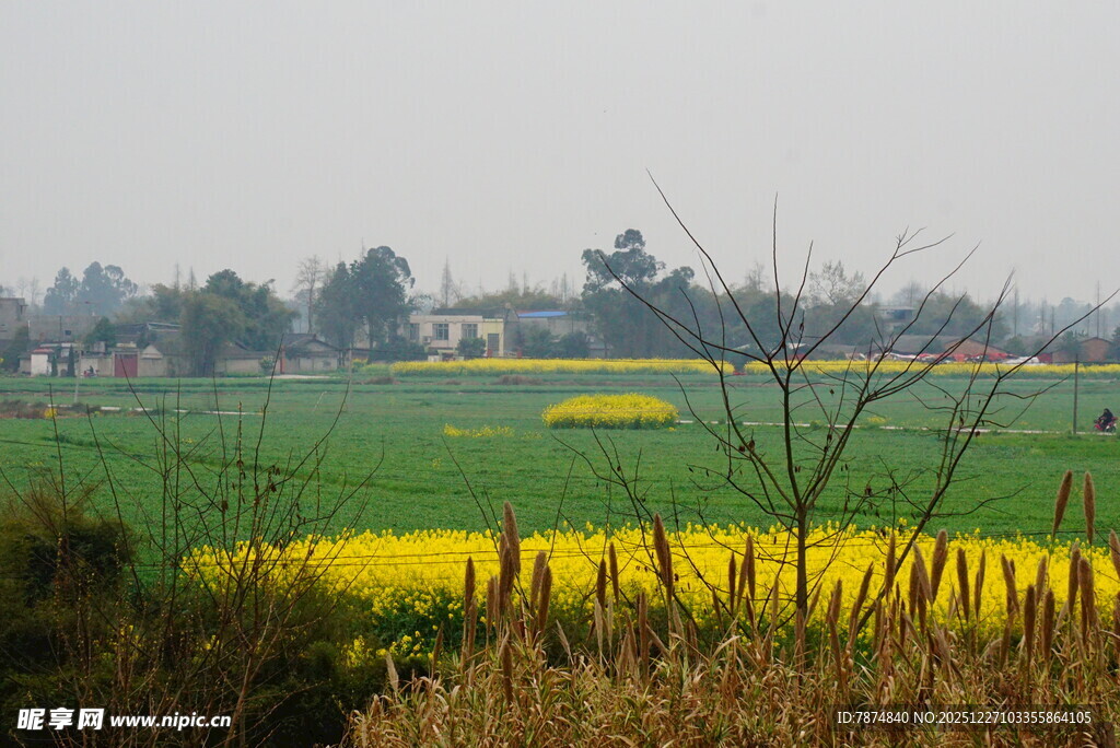 乡村田野间的多彩风光