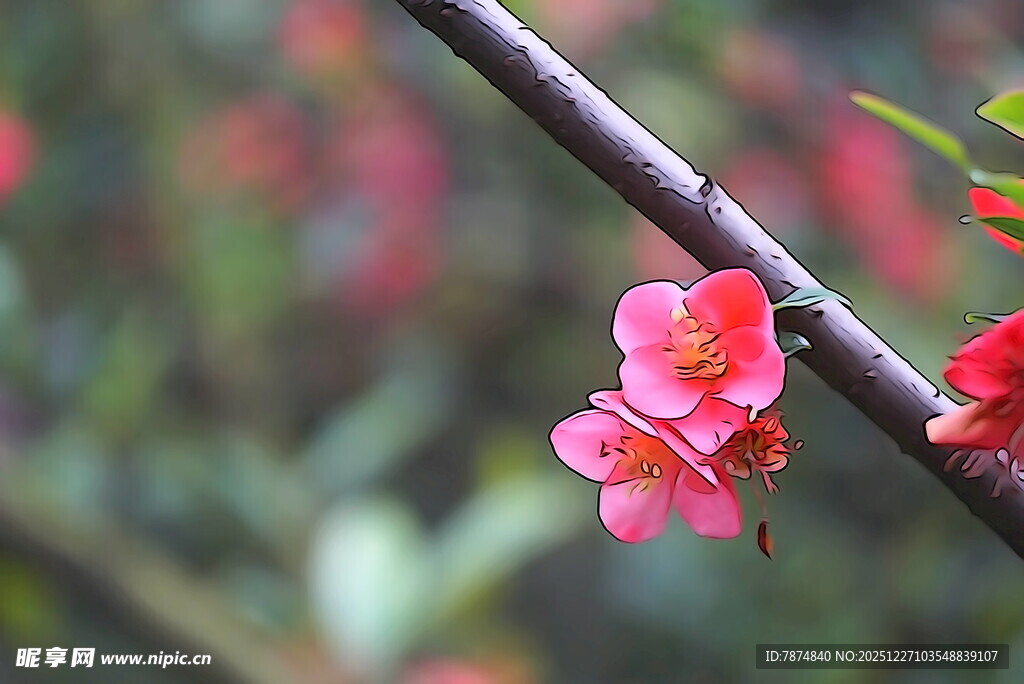 枝头绽放的娇艳红花朵