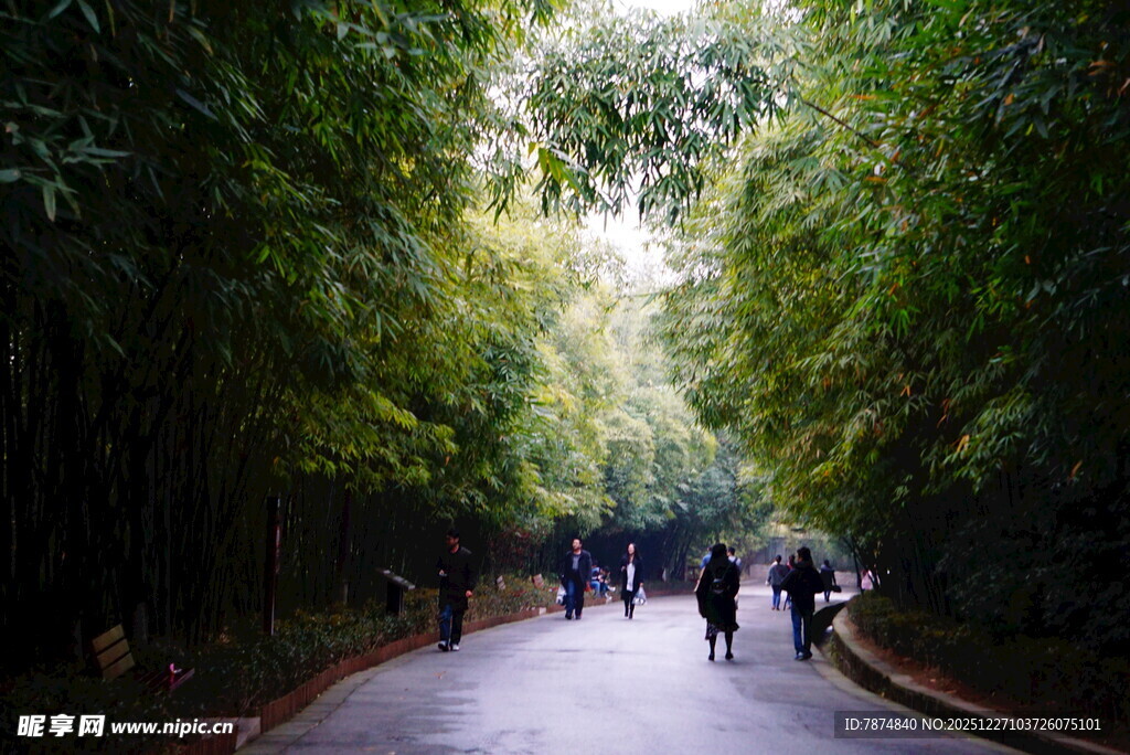竹林小径漫步人群