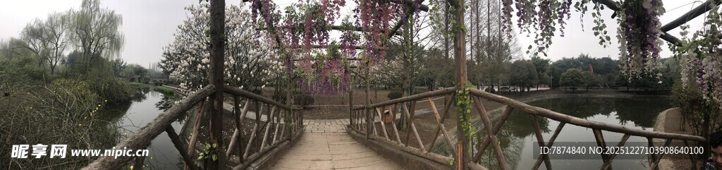 冬日树林中的木桥景观