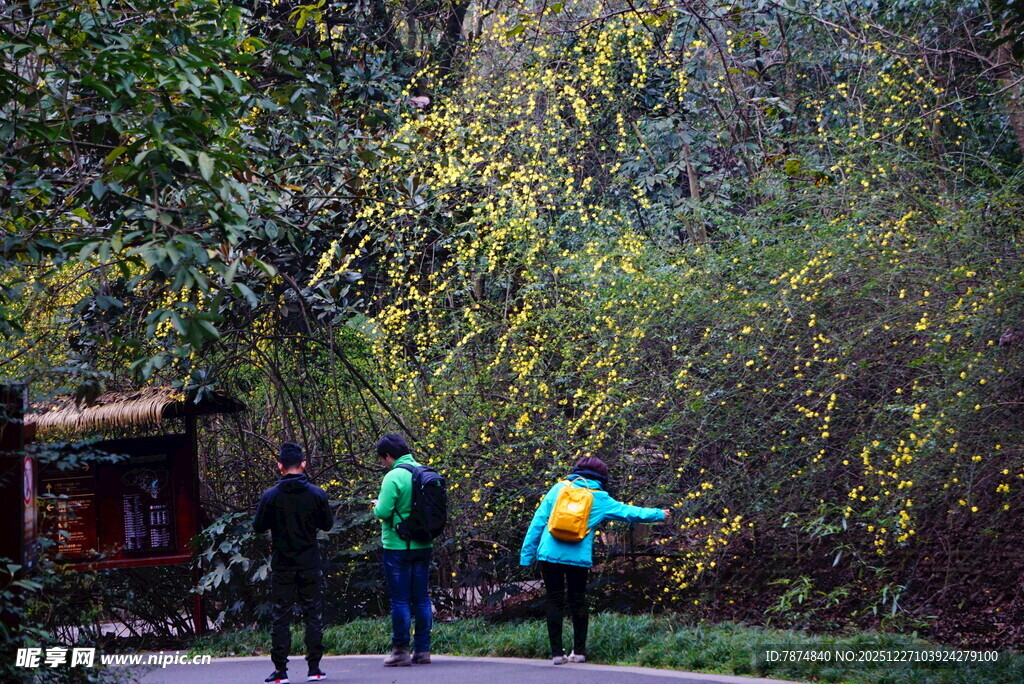 秋日林间漫步的三人