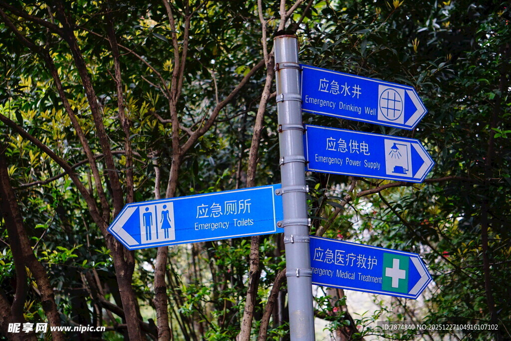 森林中的多向指示路标