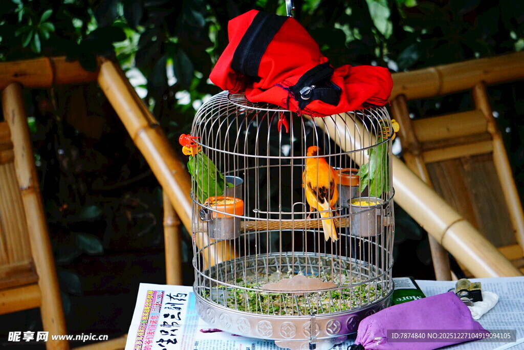 笼中彩鸟配红饰