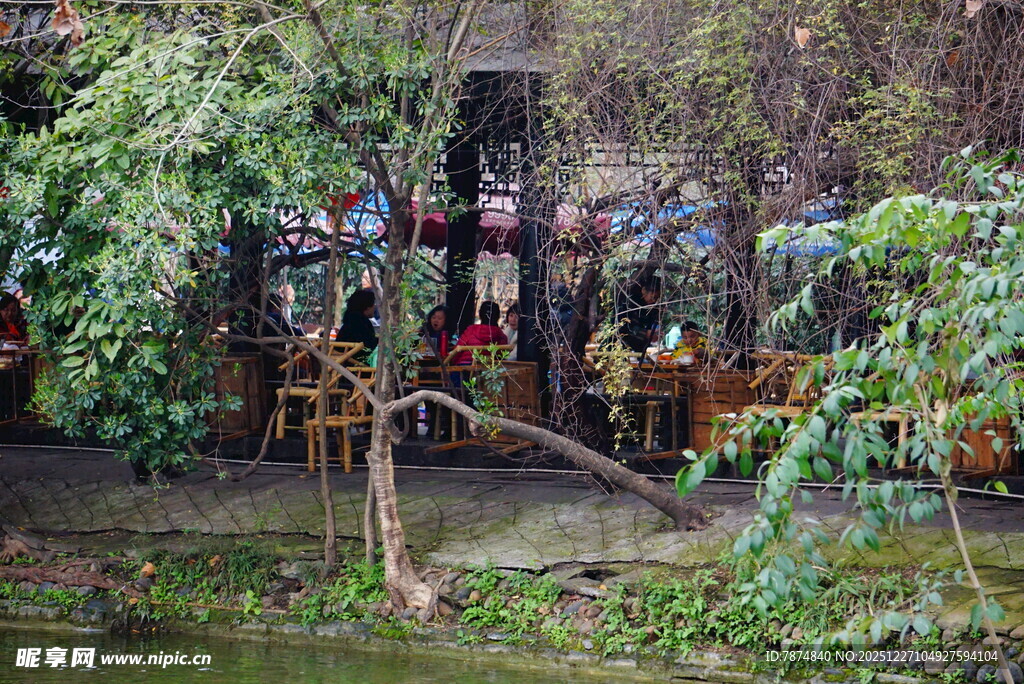 庭院中的休闲惬意场景