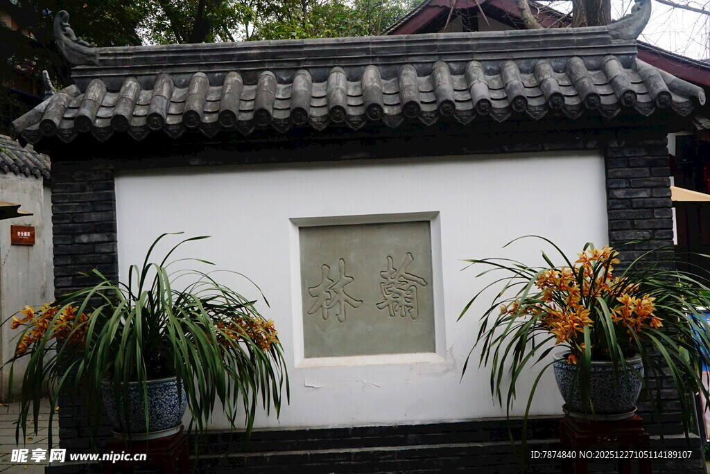 中式庭院墙景 绿植相伴