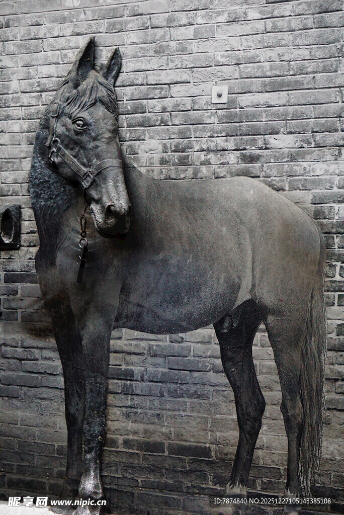 灰墙前的骏马雕塑