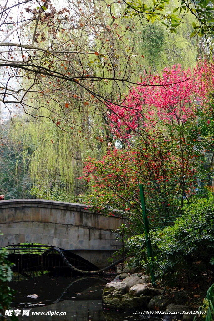 石桥畔的多彩秋日景致