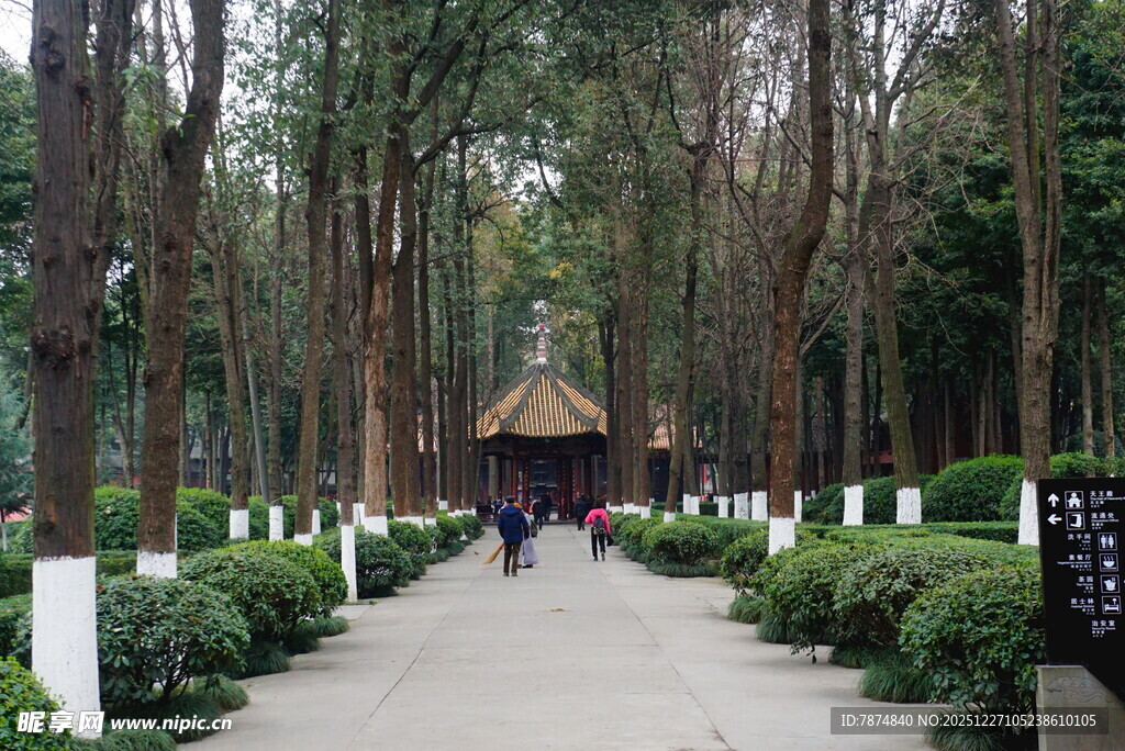 林间漫步小道 静谧景致