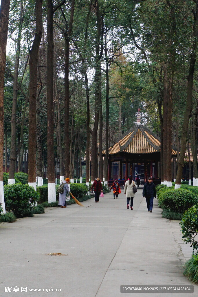 林间小道中的古朴亭子