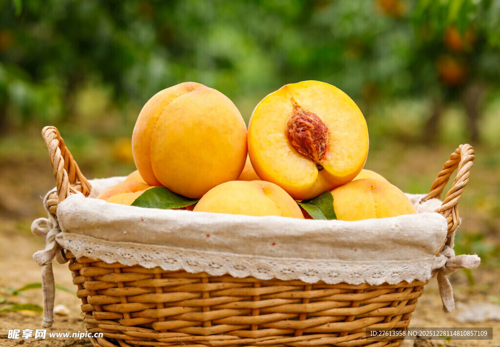 篮子里的黄桃