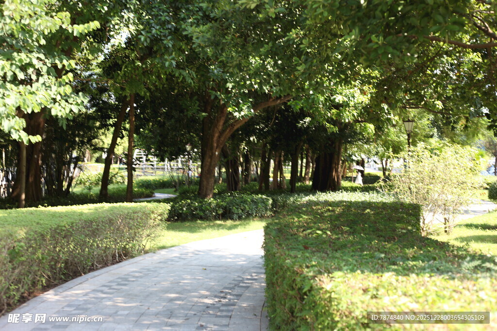 林荫小道 静谧园林景致