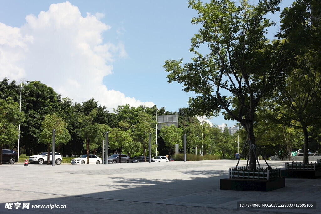 城市中的开阔林荫广场