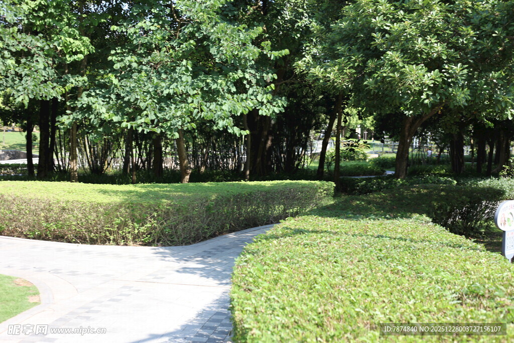 园林小径旁的绿植景观