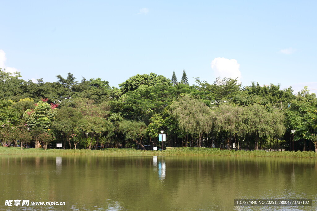 湖畔绿树成荫的宁静景致