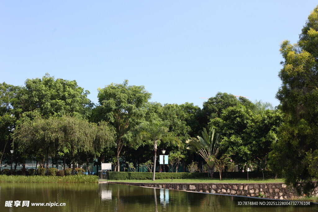 湖畔绿树成荫的宁静景致